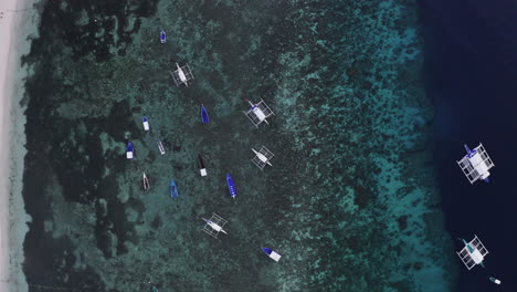 aerial top down shot of outrigger boats on close to the shore in the philippines, asia, drone