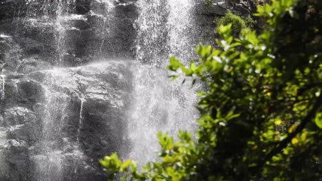 Crocodile-river-waterfall-flowing-and-falling-over-rocks-at-the-walter-sisulu-national-botanical-gardens-in-roodepoort,-South-Africa