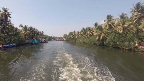 印度阿拉普<unk> (alappuzha) 沿著由<unk>林包圍的vembanad湖乘船旅行