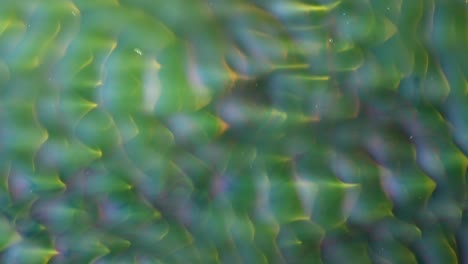la danza del velo azul y los punteros amarillo-verde - para más, busque "videoclip abstracto" usando las comillas