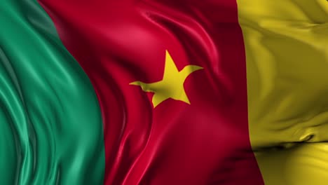 waving flag of cameroon