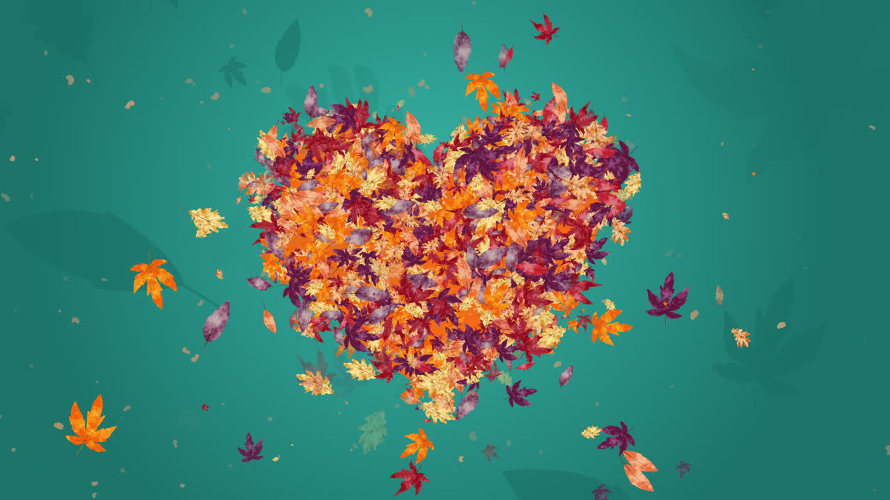 Autumn nature frame with colorful autumn leaves heart shape on green background. Loop motion graphic.