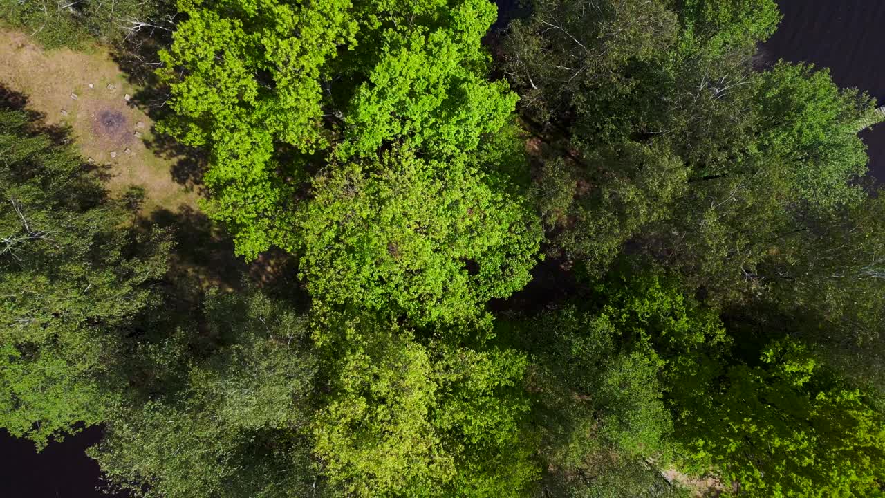 fantástico vuelo aéreo desde arriba paraíso natural de verano isla idílica en el lago, chlum en checo, día 2023
