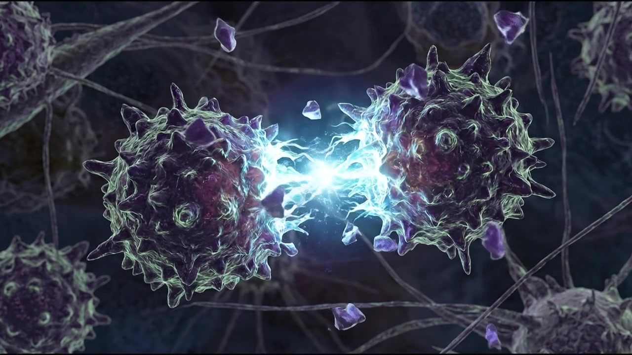 Vista microscopica di due cellule con energia elettrica
