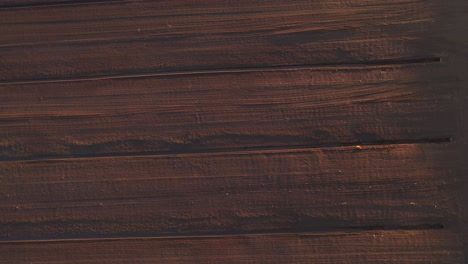 aerial view of the large wide brown peat field in kaunas county, lithuania