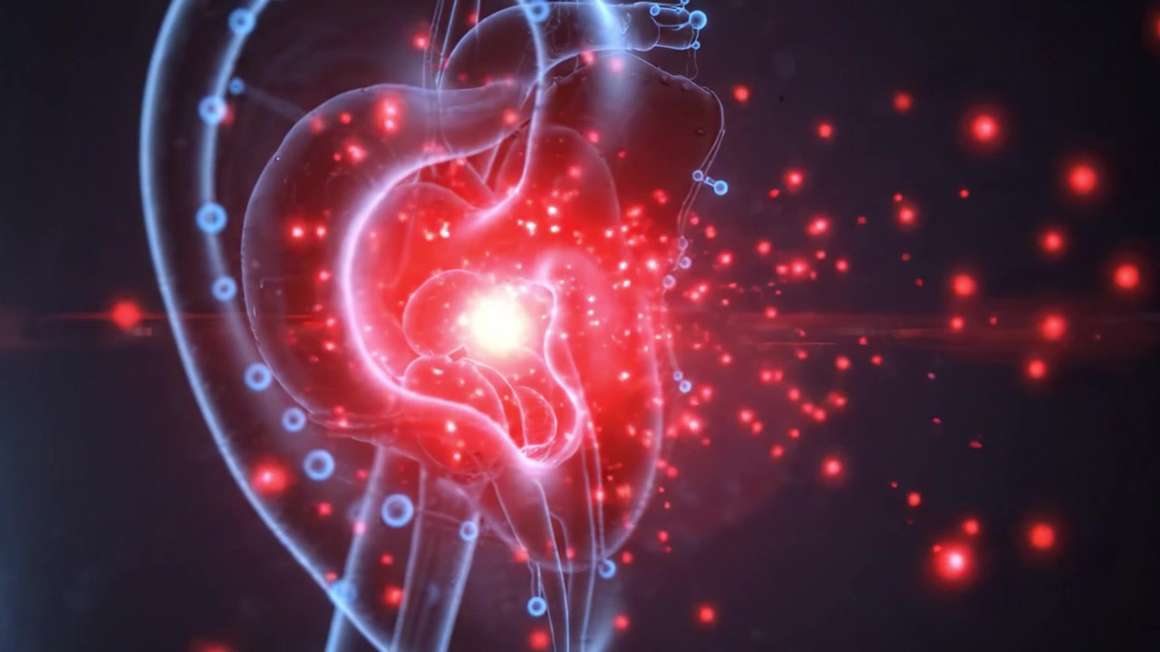 Esplorando le complessità dell'udito umano: un viaggio visivo attraverso l'anatomia e la funzione dell'orecchio, dalla sua struttura esterna all'elaborazione interna.