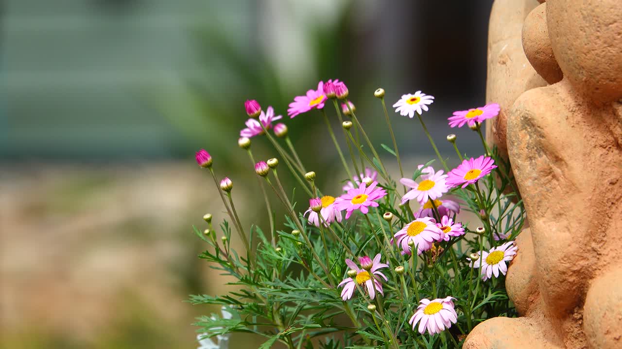 las flores de colores pastel