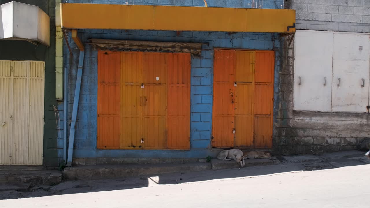 Young man in casual clothes walks past shuttered orange storefronts and a sleeping street dog, capturing everyday urban life and local atmosphere in an Ethiopian city, slow motion shot