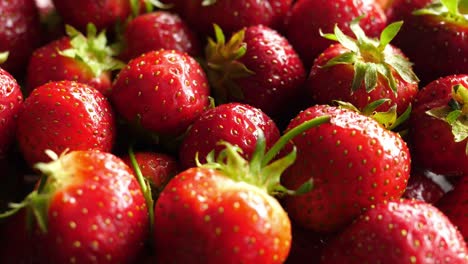 rotating turning roud red uncut  riped strawberries