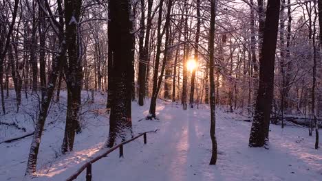 pov following the forest path through the winter wonderland