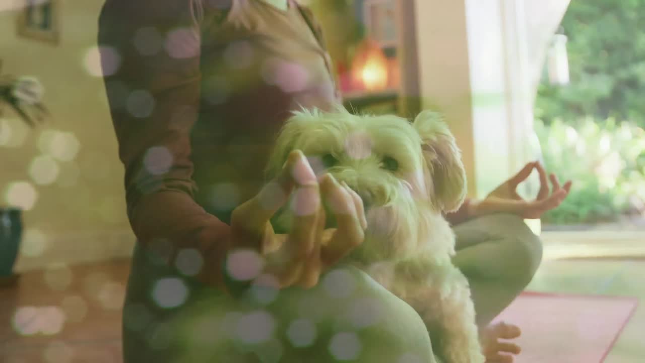 пятна света на середине секции женщины, выполняющей йогу, в то время как ее собака сидит на коленях