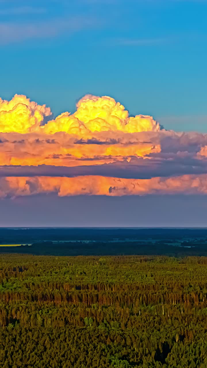 Majestic clouds above lush forest in a vibrant timelapse shot