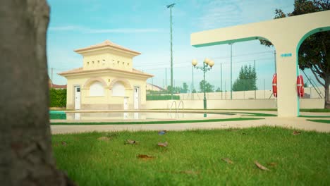 camión de árbol revela piscina bajo el sol en movimiento de camión de cámara 4k
