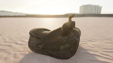 old-horse-saddle-on-the-beach