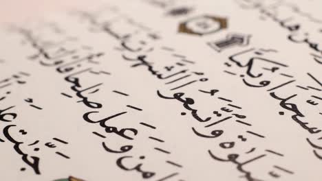 holy quran