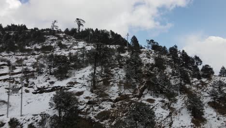 Esta-Vista-Del-Bosque-Está-En-Kalinchowk,-Distrito-De-Dolakha-De-La-Provincia-De-Bagmati-En-Nepal