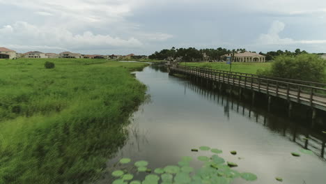 Vista-Aérea-Del-Pantano-De-Manglar-Con-Puente-De-Madera