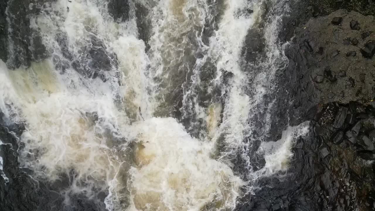Aerial view of small Atlantic Salmon(salmo salar) jumping up a small waterfall in Scotland