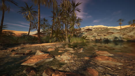 oasis del desierto con palmeras