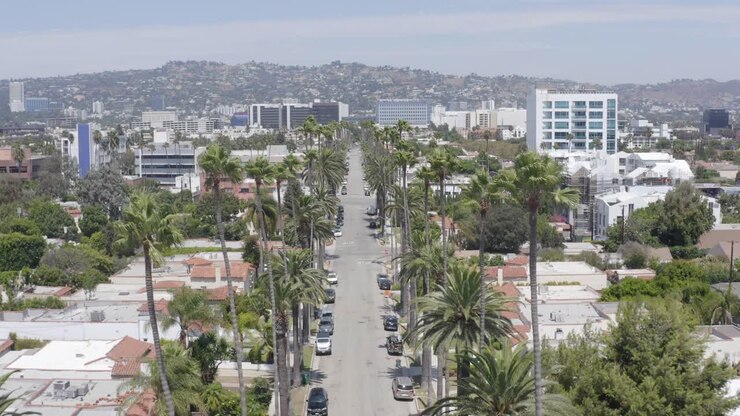 Magnifica ripresa aerea su una strada fiancheggiata da palme a Beverly Hills.