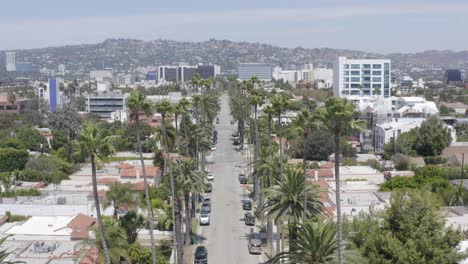 wonderful aerial pull over a street lined with palm trees in beverly hills