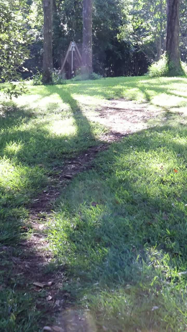 빛 이 가득 찬 숲 길 을 조용 히 걸어다니는 것