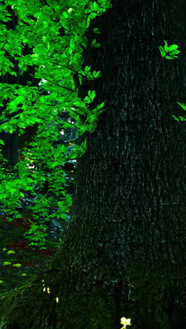 closeup of a tall tree trunk in a lush forest