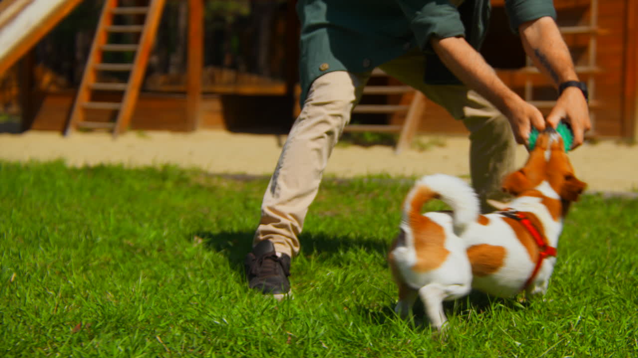 밖에서 놀고 있는 개