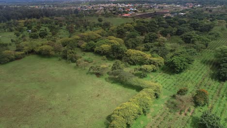 Vista-Aérea-De-La-Tierra-Agrícola-En-Arusha