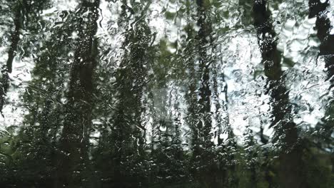 watching rain running through a car windscreen after a storm, the patterns making the trees look unreal