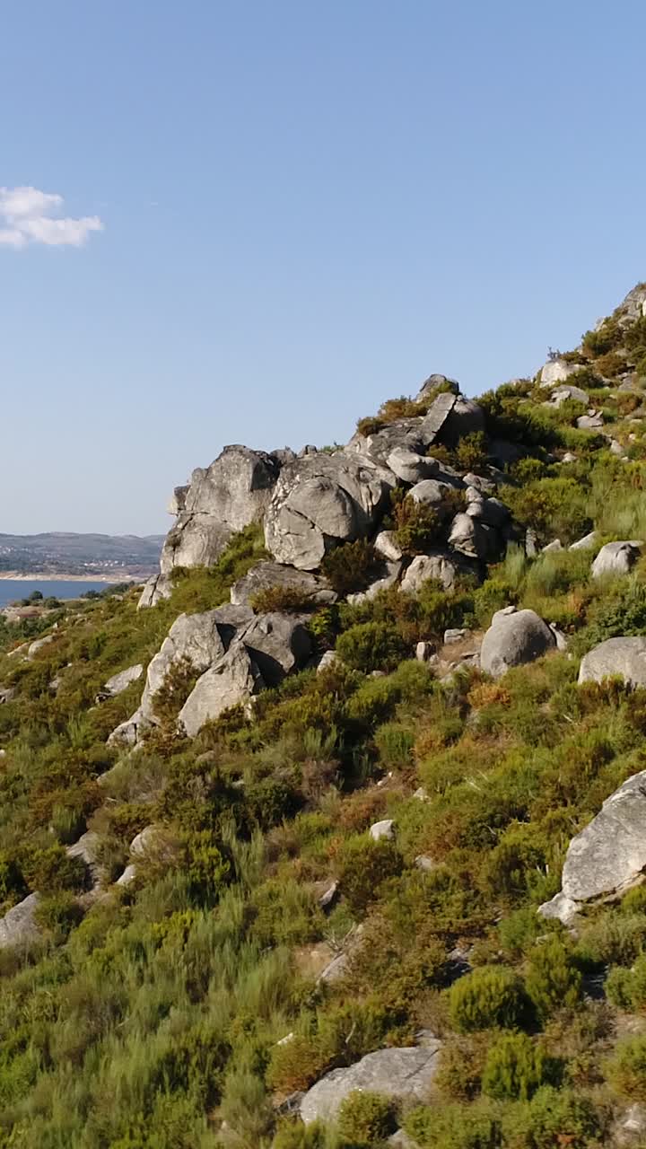 hermoso video vertical de la montaña verde