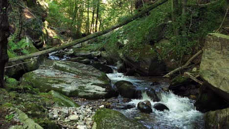 río de montaña que fluye sobre rocas y cantos rodados en el bosque, montaña bistriski vintgar pohorje, eslovenia, punto de referencia para el senderismo y el turismo al aire libre, concepto ecológico de agua limpia, recursos naturales, sartén de 4k