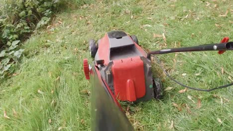 pov cortando el césped con una cortadora de césped eléctrica