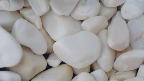 close-up of a collection of smooth white stones