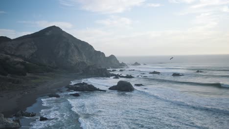 Calmed-beach-with-a-bird-flying-through