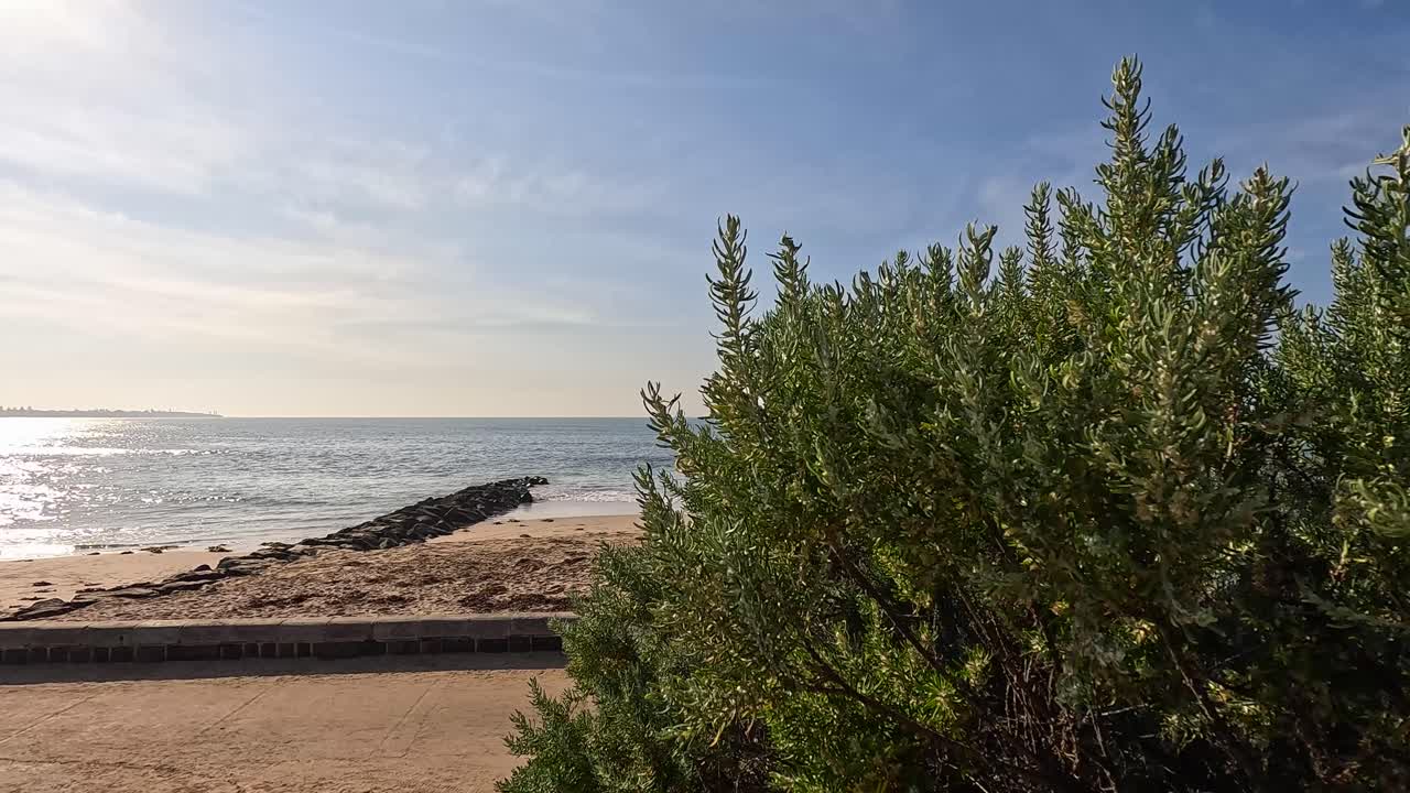 A tranquil beach scene with lush greenery and gentle ocean waves under soft daylight at Point Lonsdale, Australia