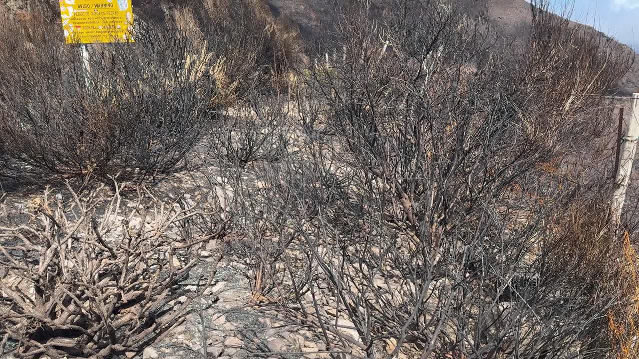 Charred terrain with scorched vegetation and a warning sign cautioning rockfall risks in a desolate area. Madeira Island, Portugal.