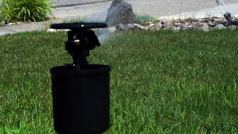 toma de cerca de un rociador que riega un jardín exuberante