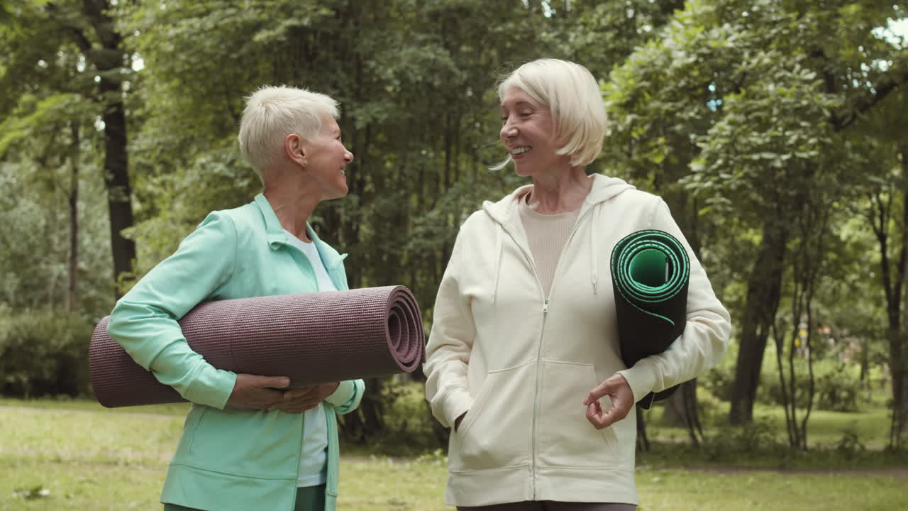 Senior Women Exercising in Park