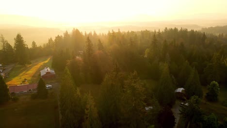 Amanecer-épico-En-Un-Bosque-En-El-Estado-De-Washington,-Renton