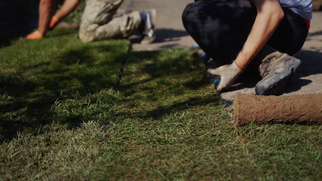 un grupo de trabajadores colocó un césped enrollado. jardinería de la casa.