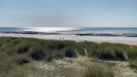 panorama of wide flat beach coastline, shrubs in foreground