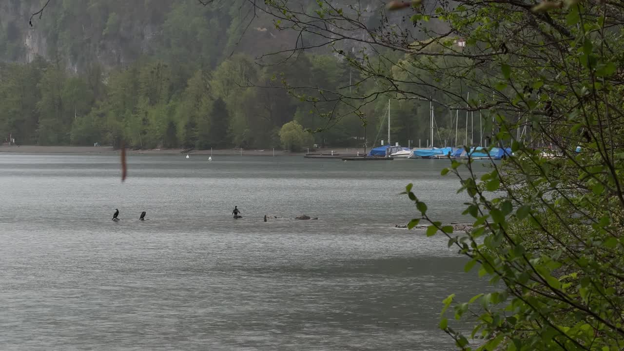 Boats moored marina on Walensee Lake Walen Switzerland St. Gallen canton nature