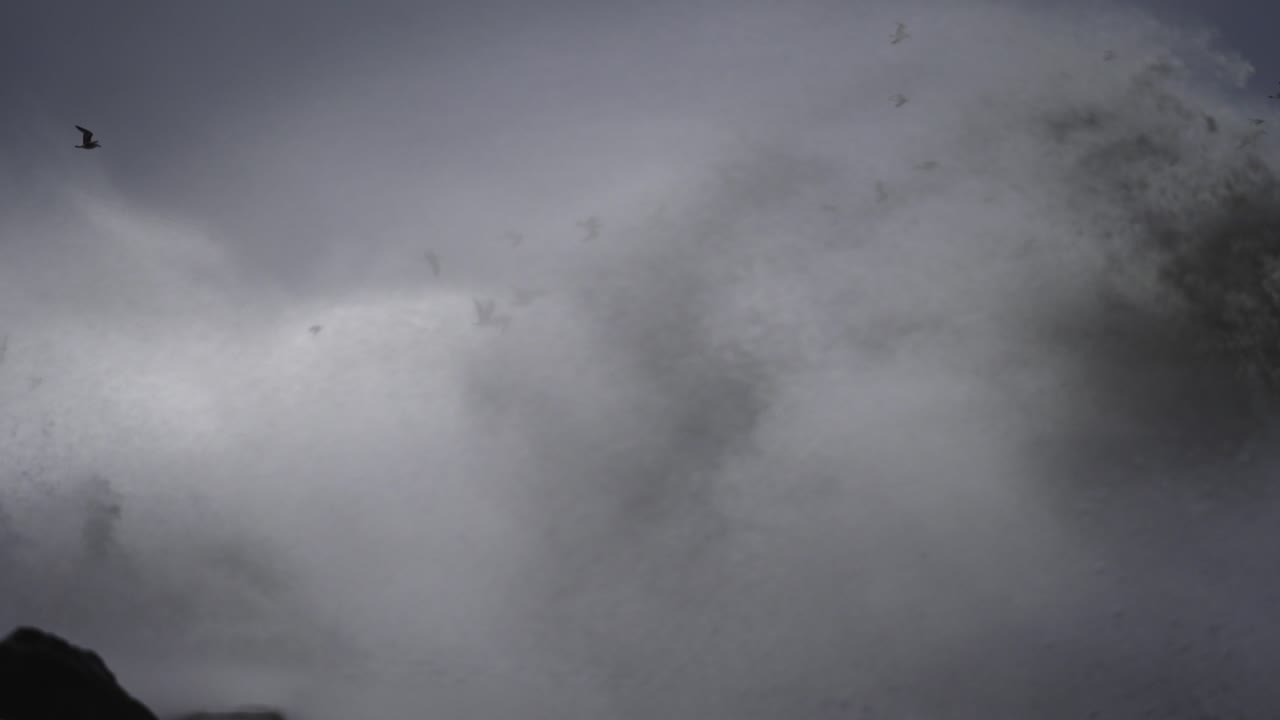 olas poderosas y pájaros