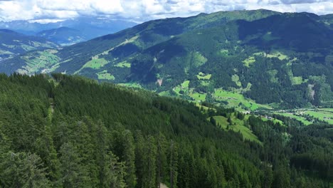 beautiful landscape of tree covered mountains under a blue sky background