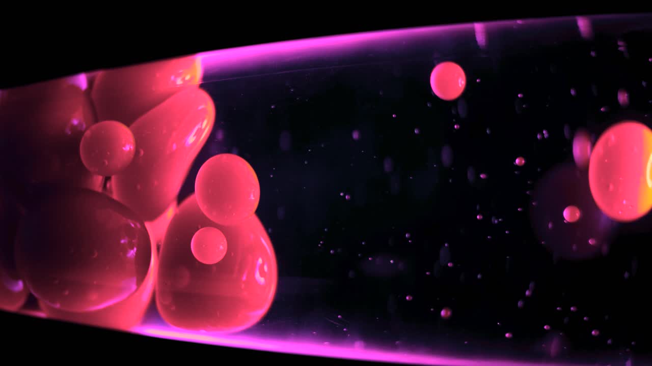 Red and Pink Lava Lamp