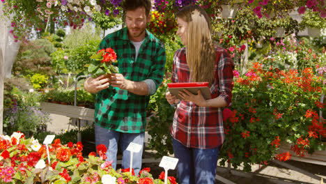 Professional-male-gardener-standing-in-garden-and-showing-plant-to-woman