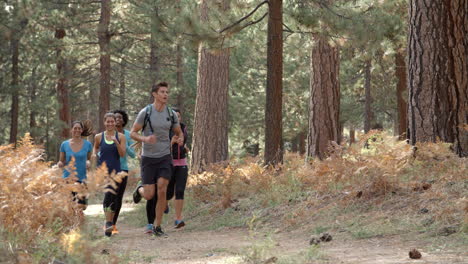 Group-of-six-young-adult-friends-running-in-a-forest