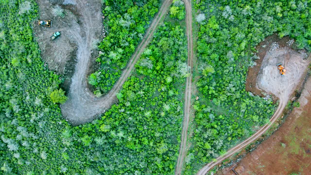 tecnología de agricultura inteligente: vista aérea de drones de una granja de aguacate en kenia