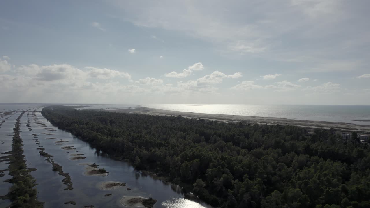 divjake-karavasta 자연 공원 위의 드론 비디오, 일몰 시 수평선에 있는 해변과 함께 숲 위로 올라가는 크레인 샷